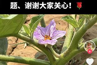 控场大师！保罗首节8分钟送出7助攻1抢断且0失误 正负值+9